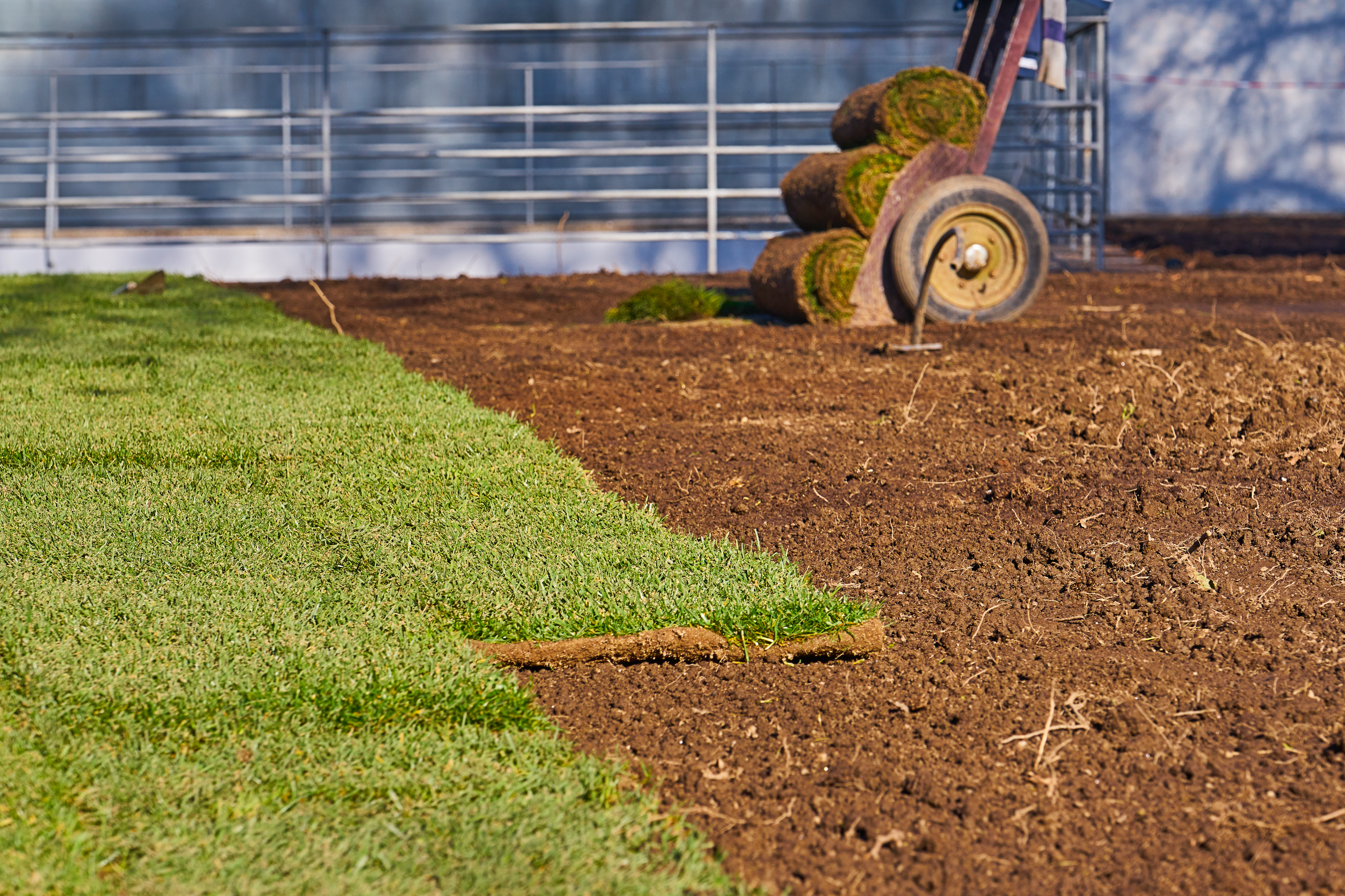 Sod & Seeding