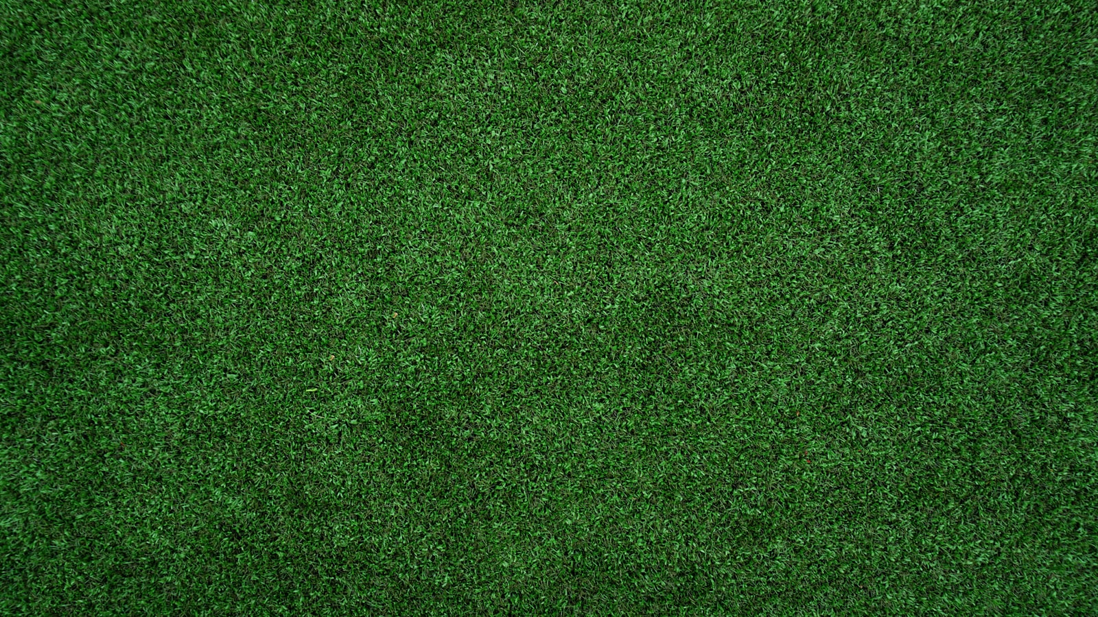 Artificial Turf Installation