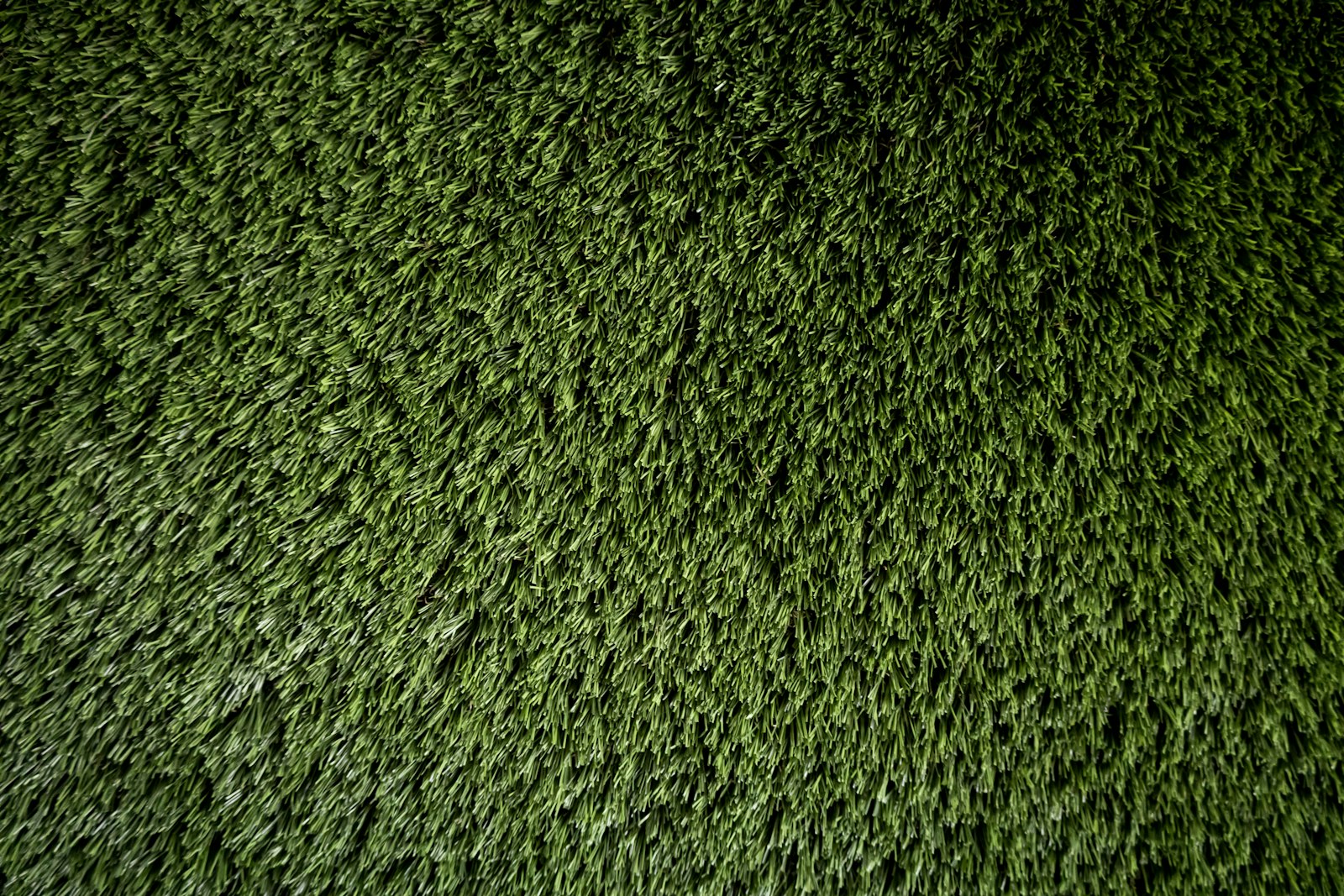 Detail of installed premium artificial turf with realistic blades